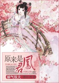 女主叫凤君的