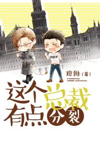 这个总裁有点残版叫什么名字